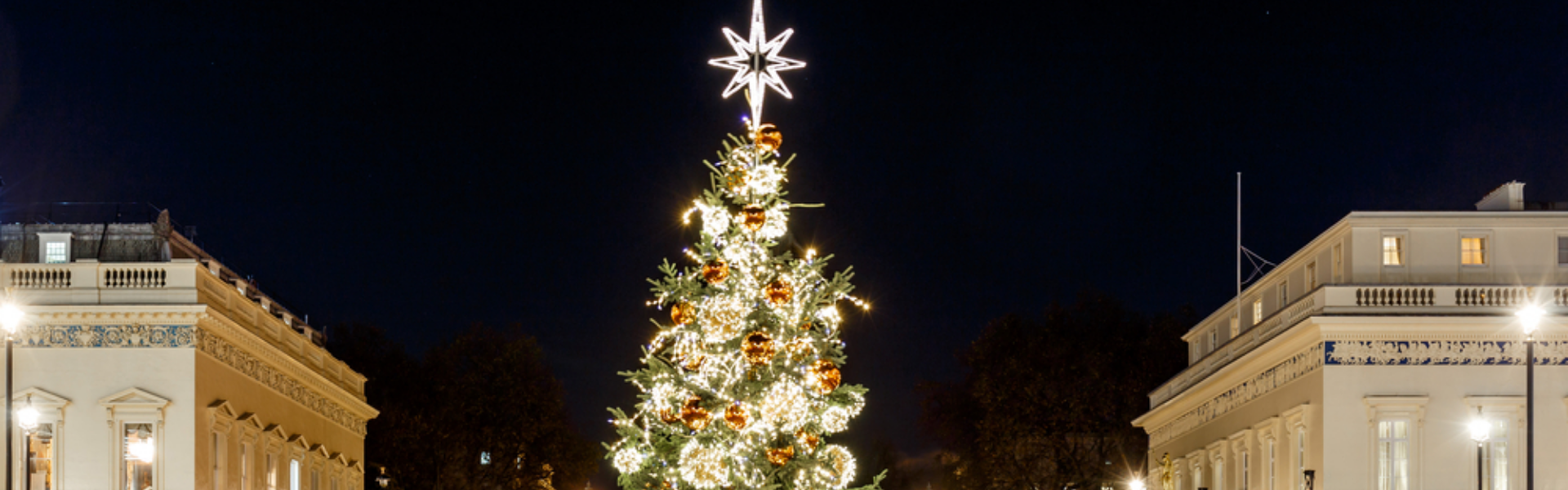 When do bath and body works Christmas Candles come?